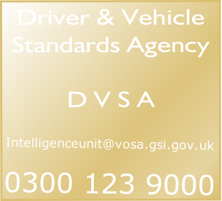 Driver & Vehicle
Standards Agency

D V S A


